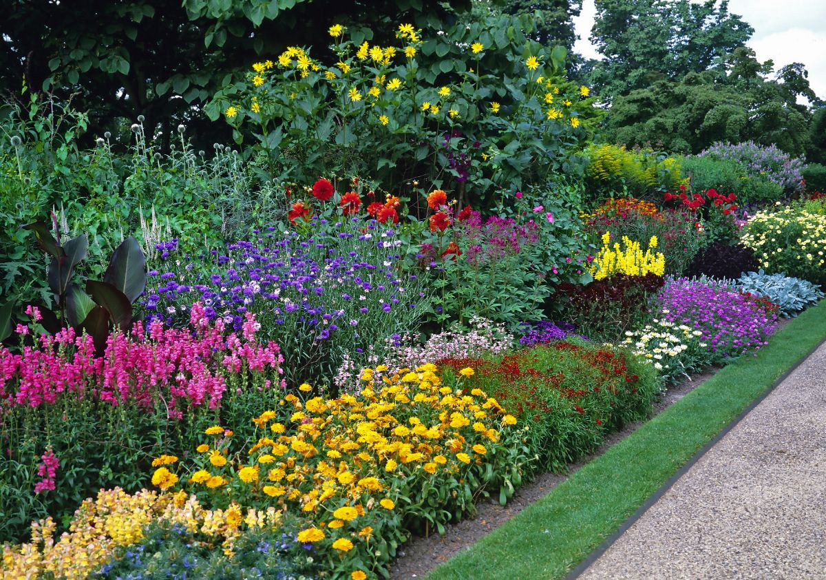 Pollinator Perennial Garden by Peter Atkins