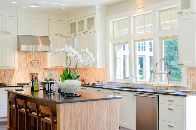 Kitchen Inspiration transitional-kitchen