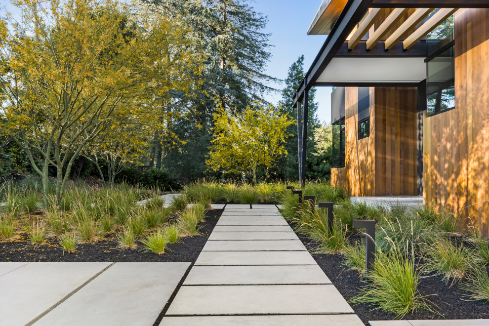 Moderner Garten mit direkter Sonneneinstrahlung, Betonboden und Pergola in San Francisco