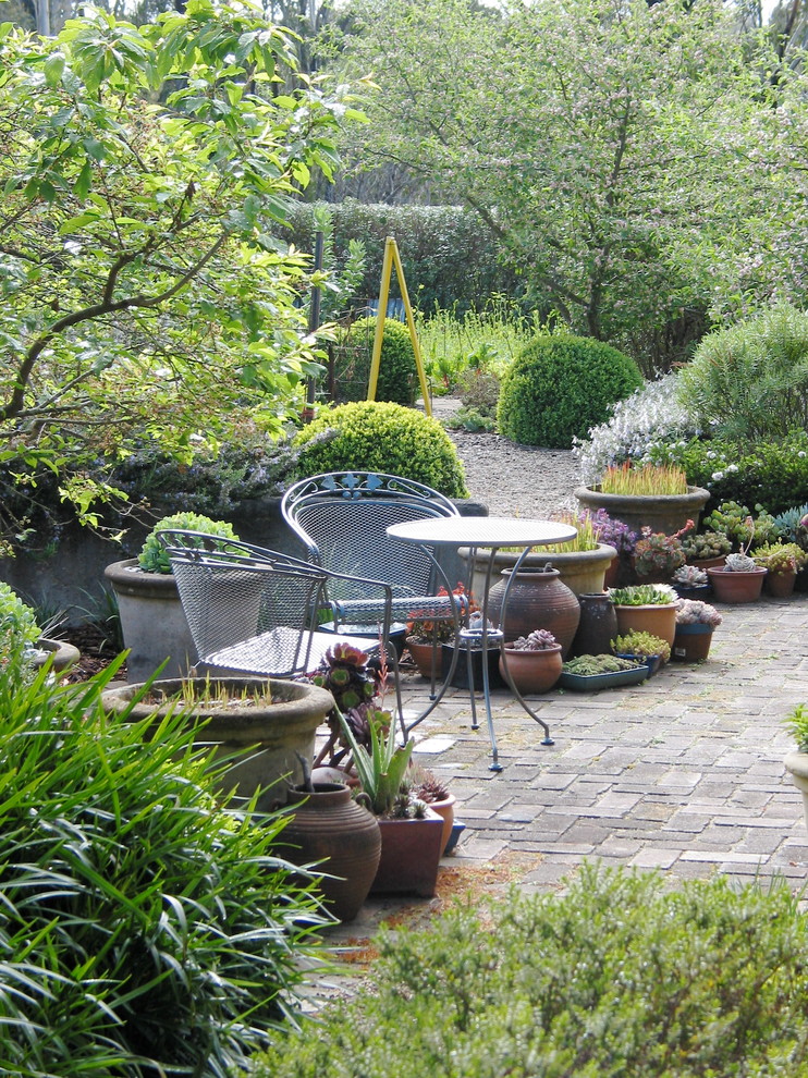 Inspiration for a traditional backyard garden in Sydney with a container garden and brick pavers.