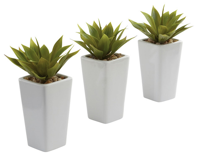 Mini Agave With Planter Set of 3White Contemporary  