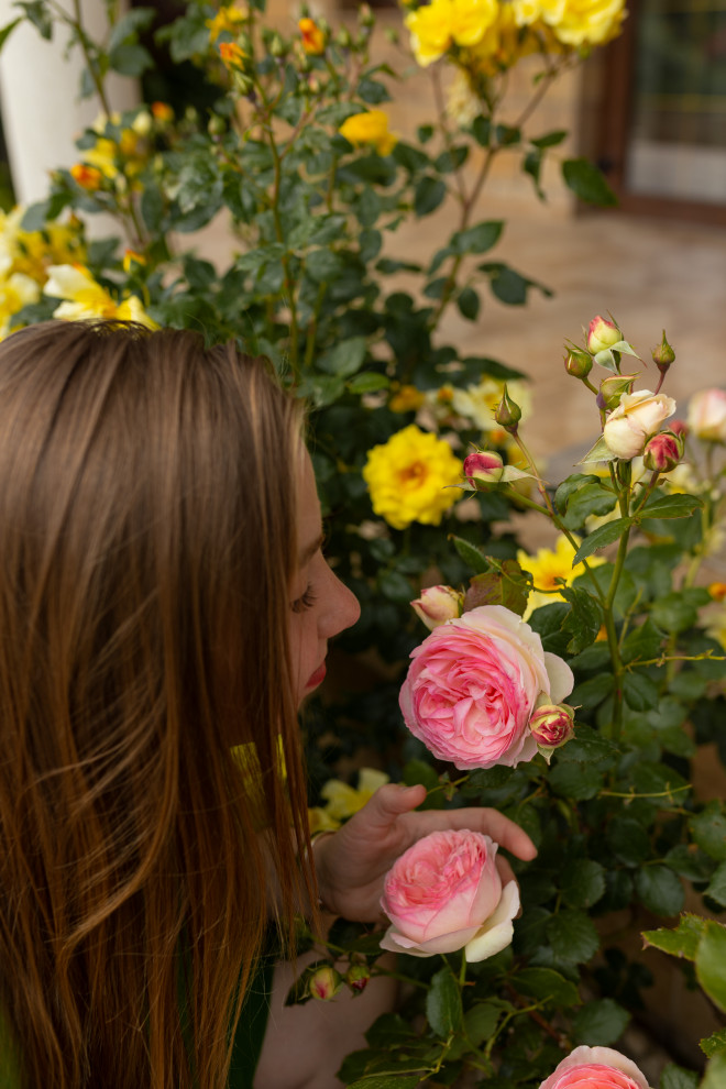 Сад: "Крымский бриз"