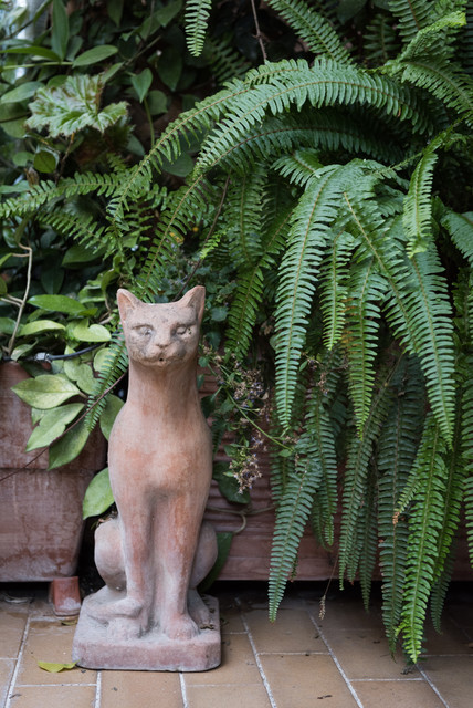 My Houzz: A Roma, un Giardino Meditativo e Parco Giochi per Gatti