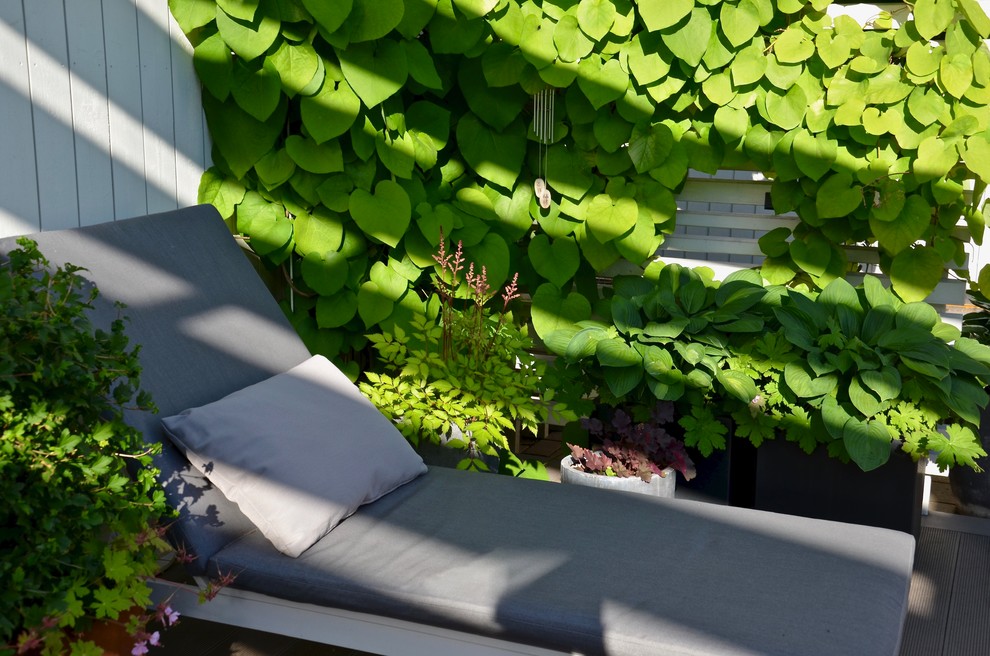 Inspiration för en minimalistisk formell trädgård i delvis sol längs med huset