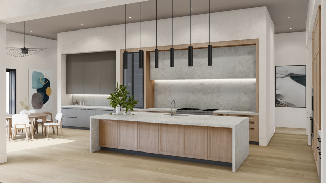 Lincoln transitional kitchen transitional-rendering