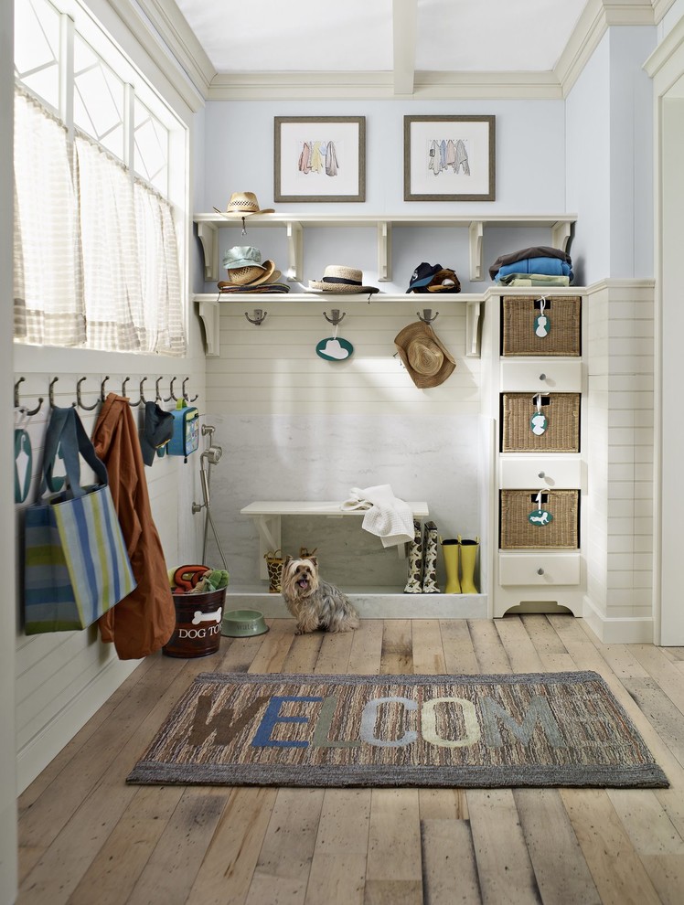 Country mudroom in Boston with blue walls and medium hardwood floors.