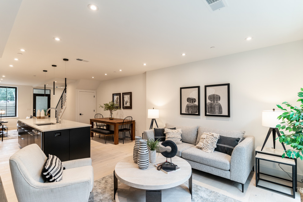 Southwest DC Duplex Renovation