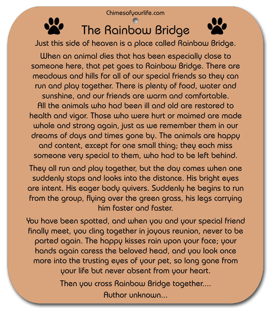 Chimes Of Your Life Dog Rainbow Bridge Poem Pet Memorial Wind Chimes Of Your Life Dog Rainbow Bridge Poem Pet Memorial Wind Chime 35