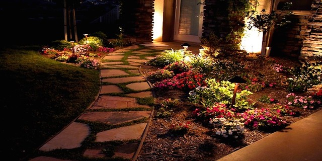 Landscape Lighting american-traditional-garden