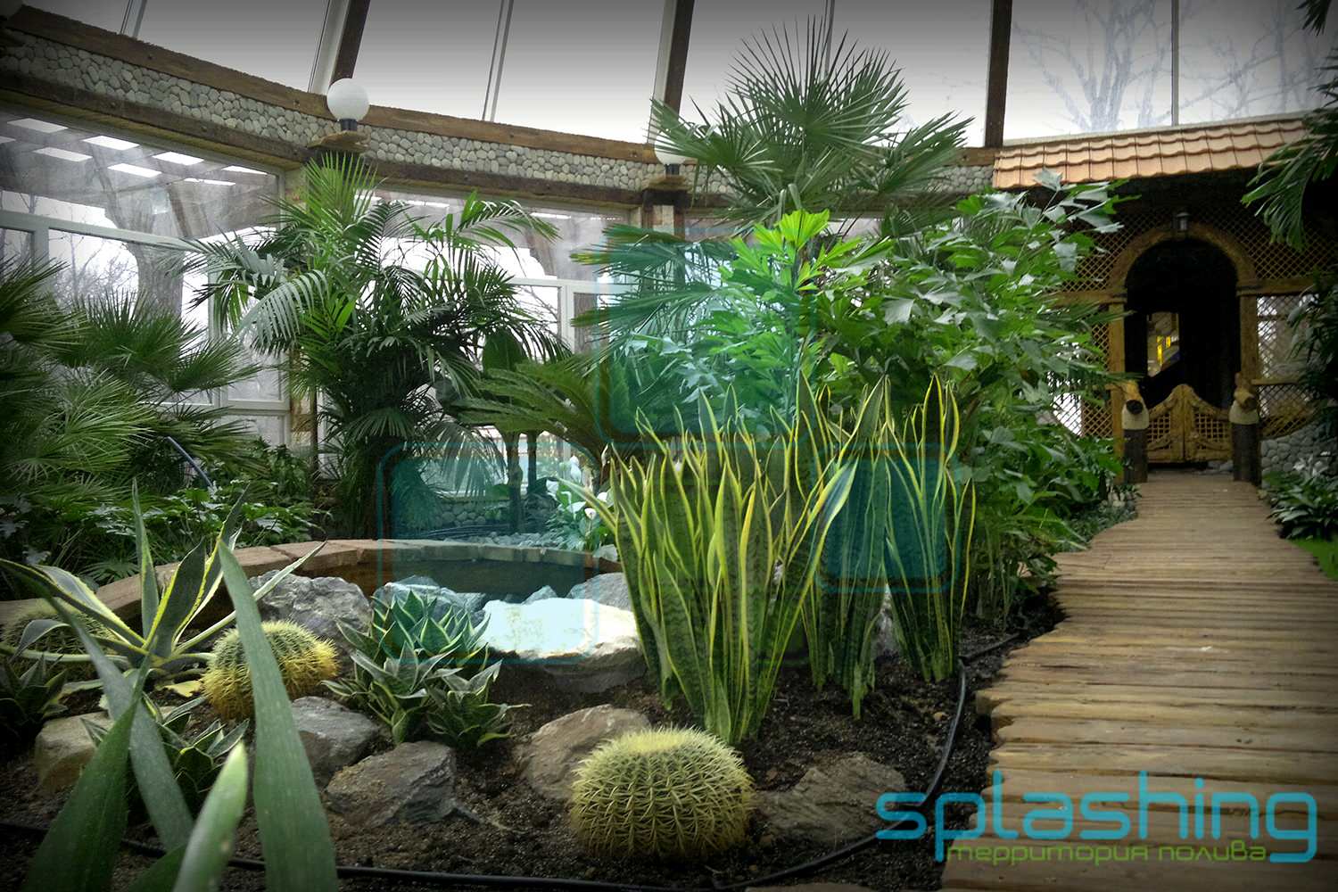 Автополив в питомнике Осётр в Тульской области д. Махринские выселки