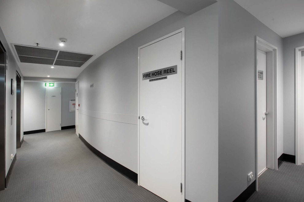 Inspiration för mellanstora moderna hallar, med grå väggar, heltäckningsmatta och blått golv