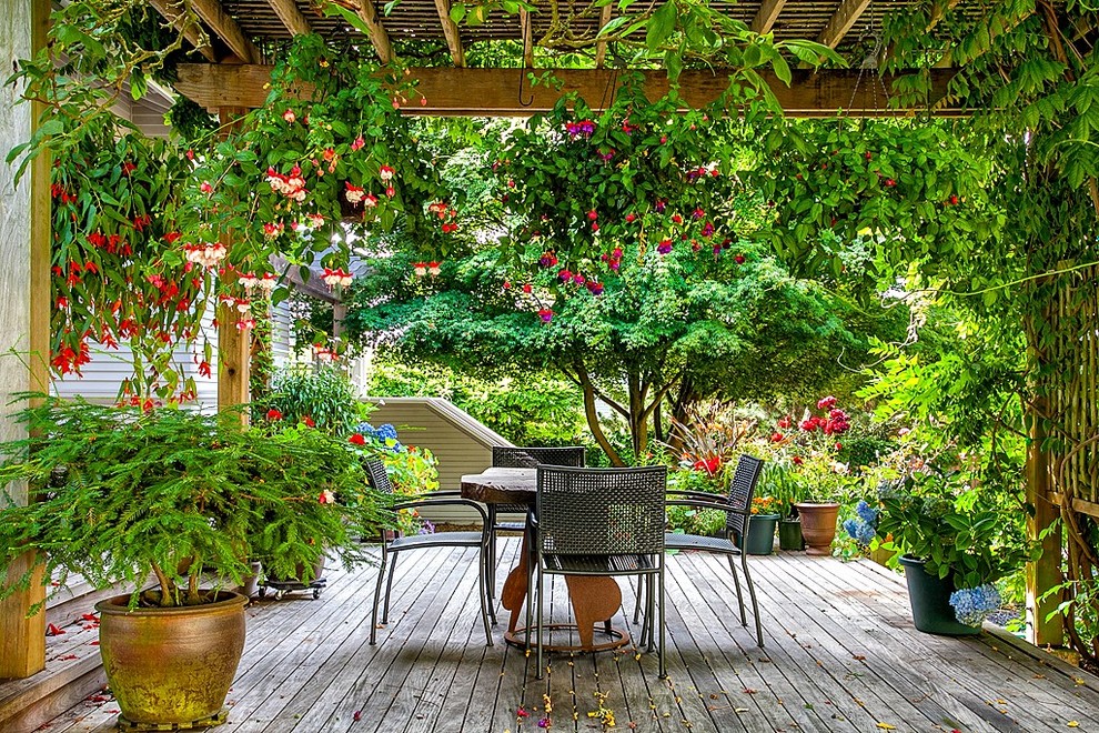 Photo of a traditional deck in Seattle with a pergola.