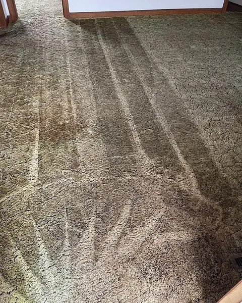 cleaning