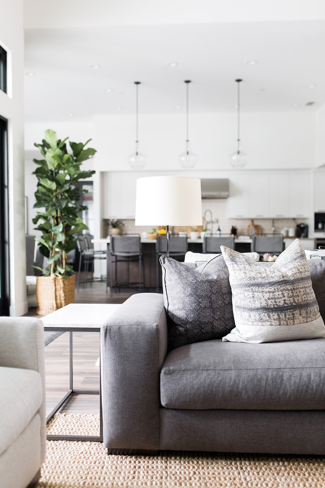 Inspiration for a modern family room remodel in Sacramento