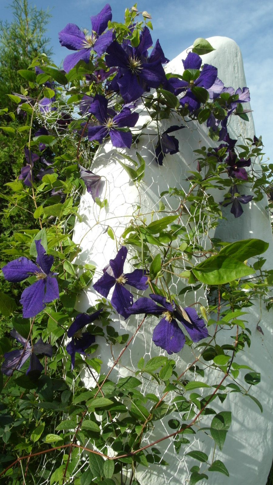 Зоны отдыха в саду