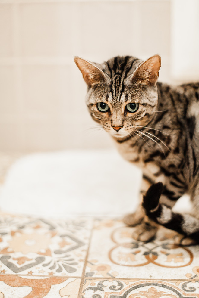 Интерьер в скандинавском стиле