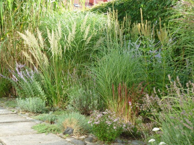 Lummig oas , Sk&aring;ne scandinavian-garden