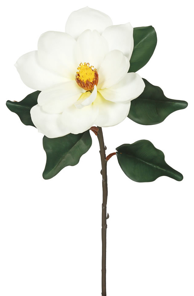 33" Cream Single Magnolia