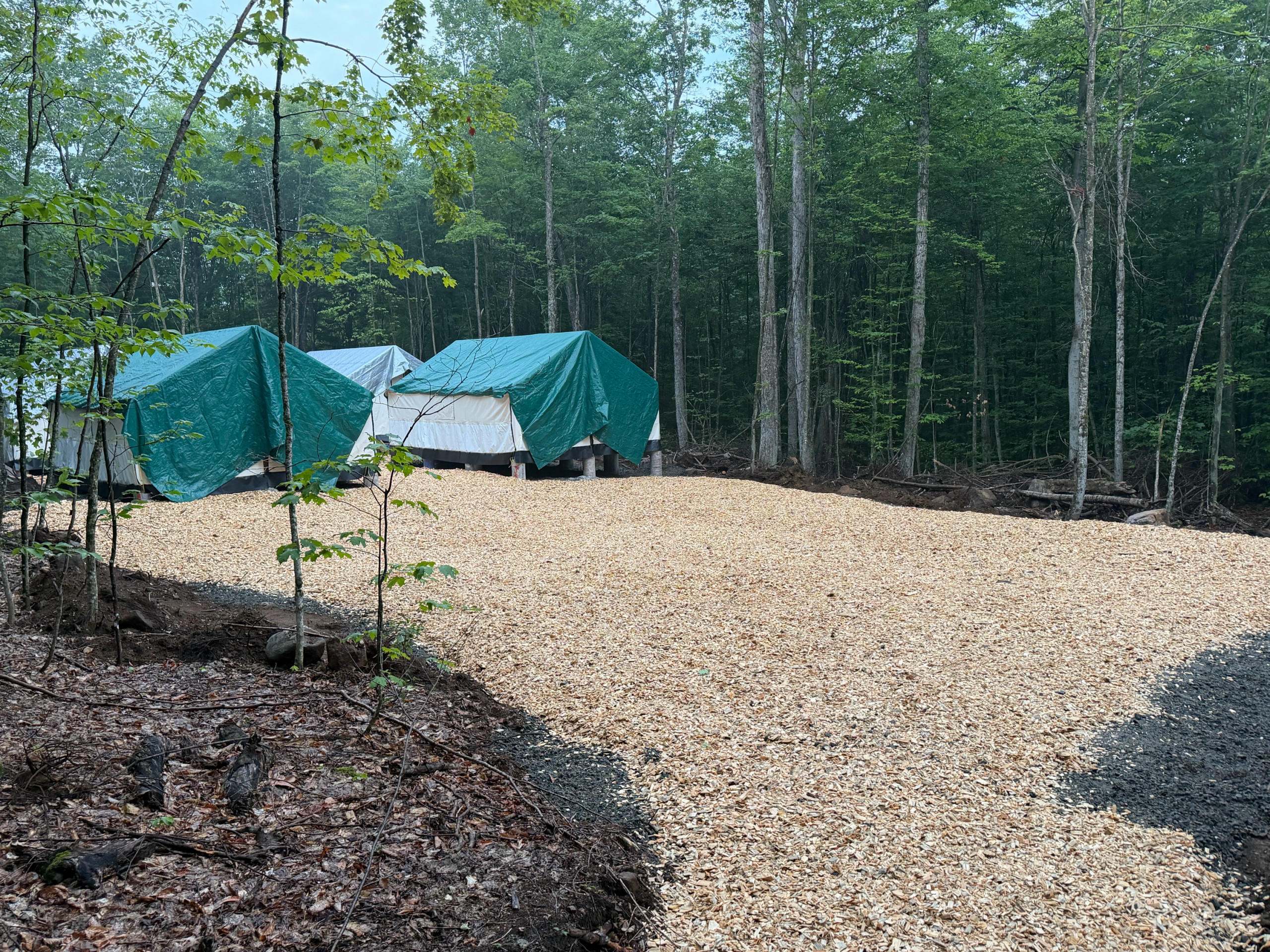 Tent Cabins