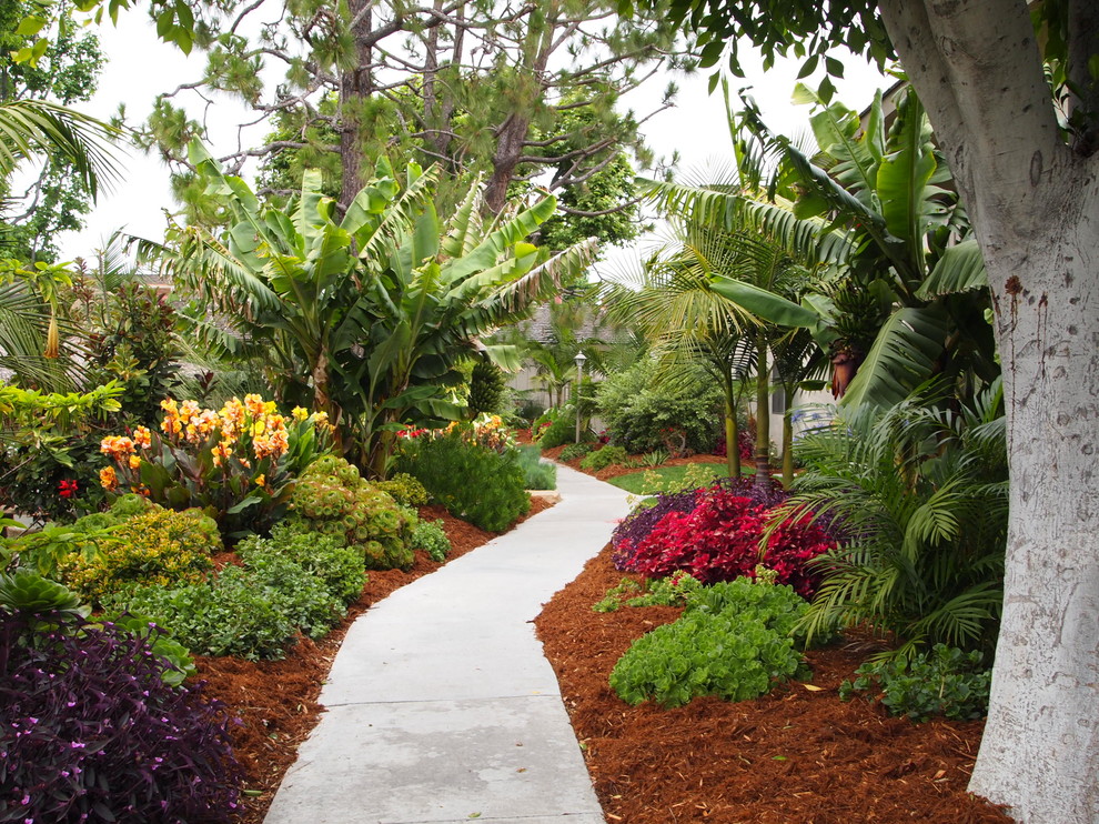 Inspiration for a tropical garden in San Diego.
