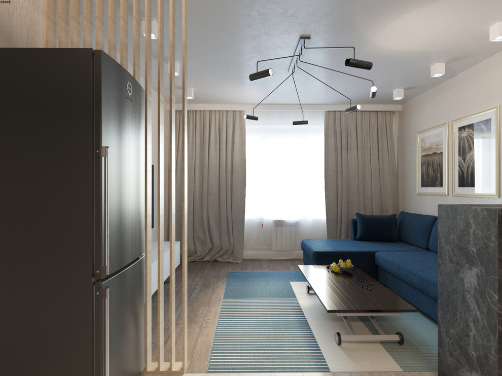 КВАРТИРА ДЛЯ МОЛОДОГО ЧЕЛОВЕКА