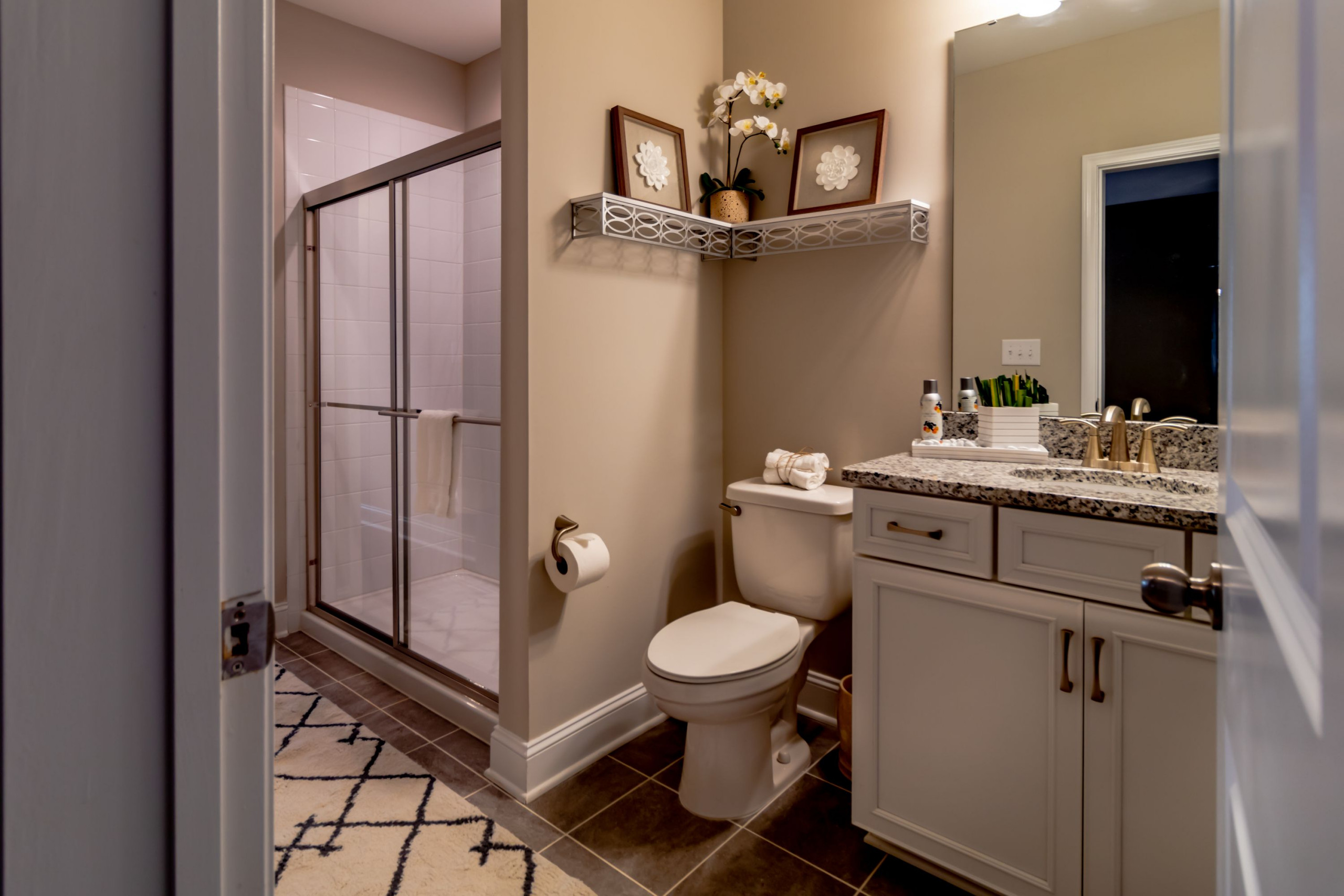 Transitional Home Transformation - Guest Baths