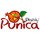 Punica Peyzaj / Punica Landscaping