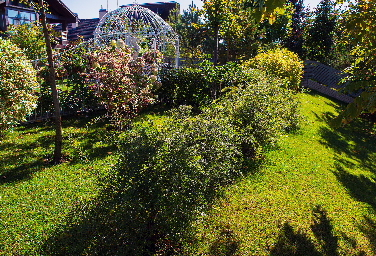 Сад на Пятницком шоссе.  Дизайнер Лариса Юрова
