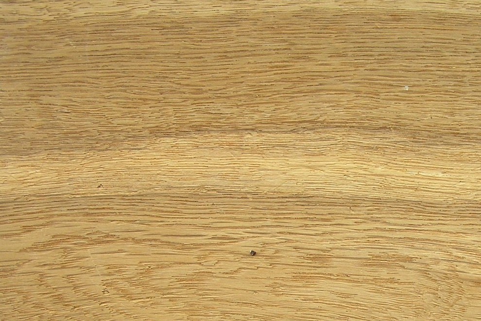 Buche, Eiche, Kiefer oder Birke? 8 Holzarten für Möbel im Vergleich