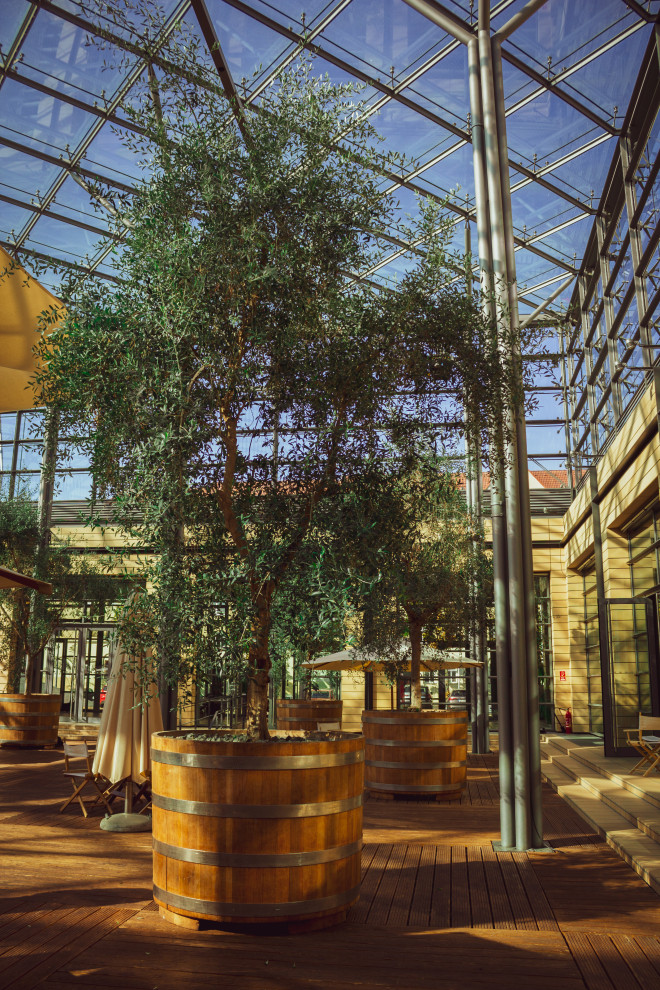 Klassischer Garten in Leipzig