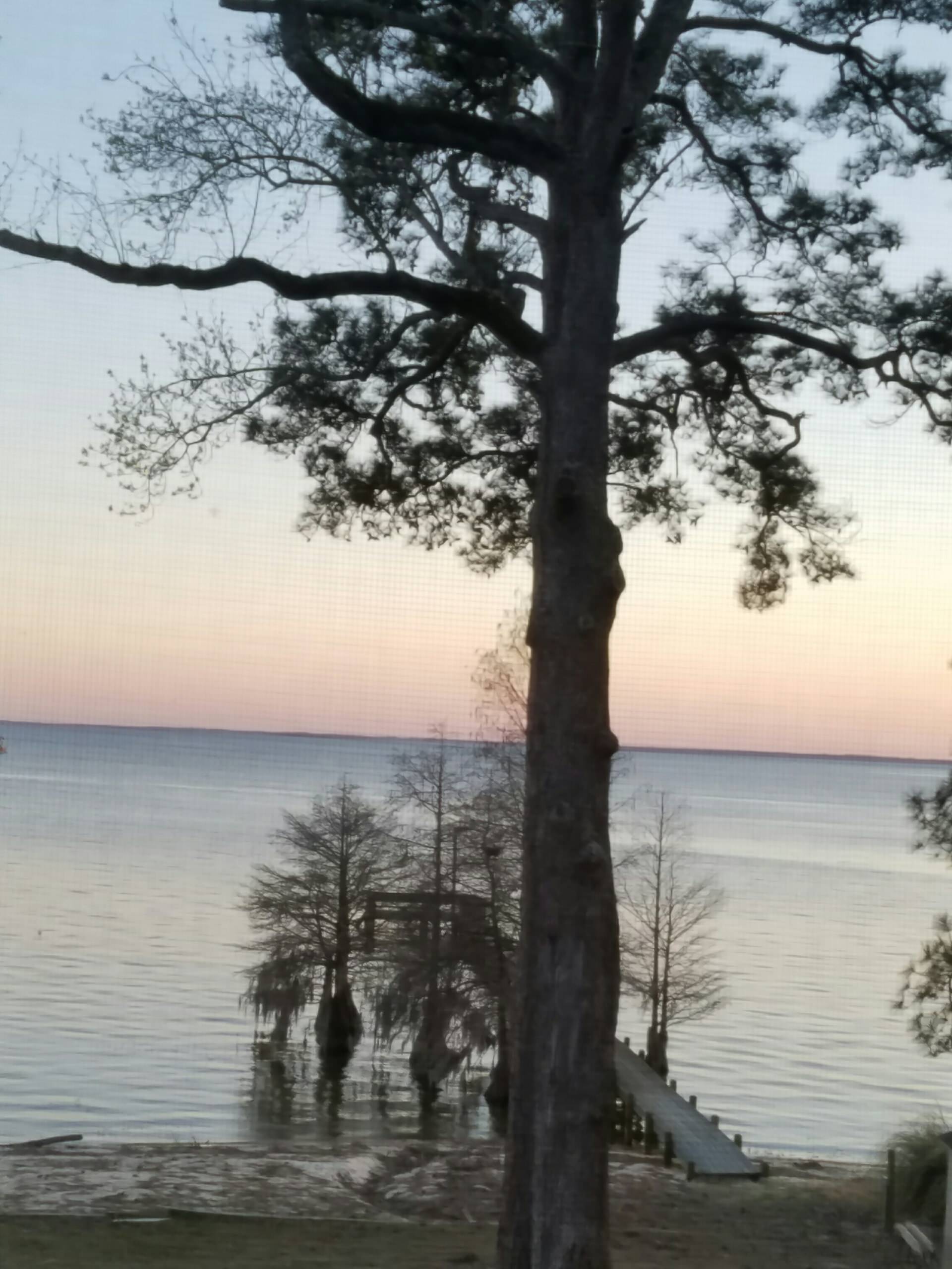 Lake Marion Construction House
