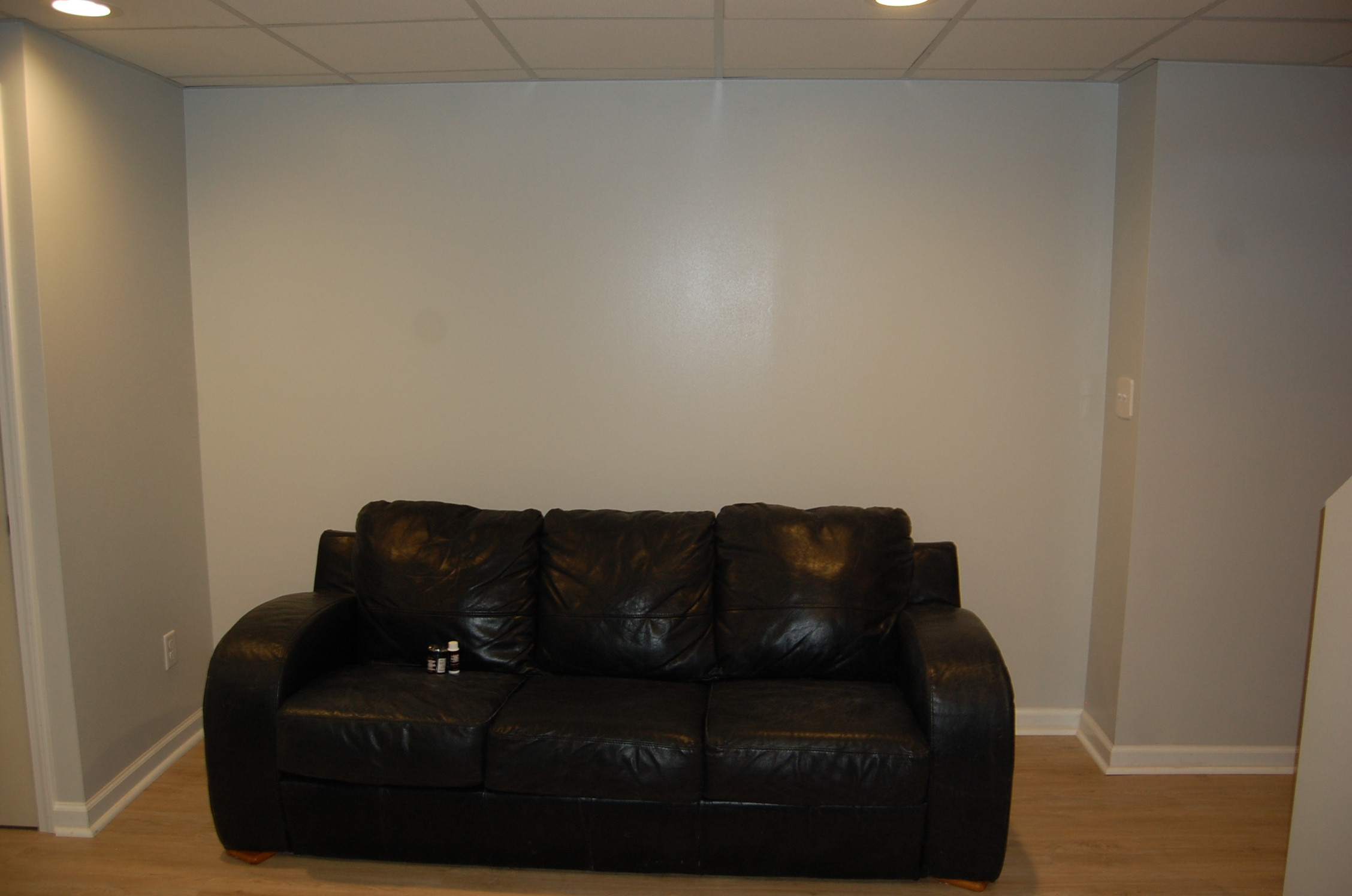 Basement office and work out area