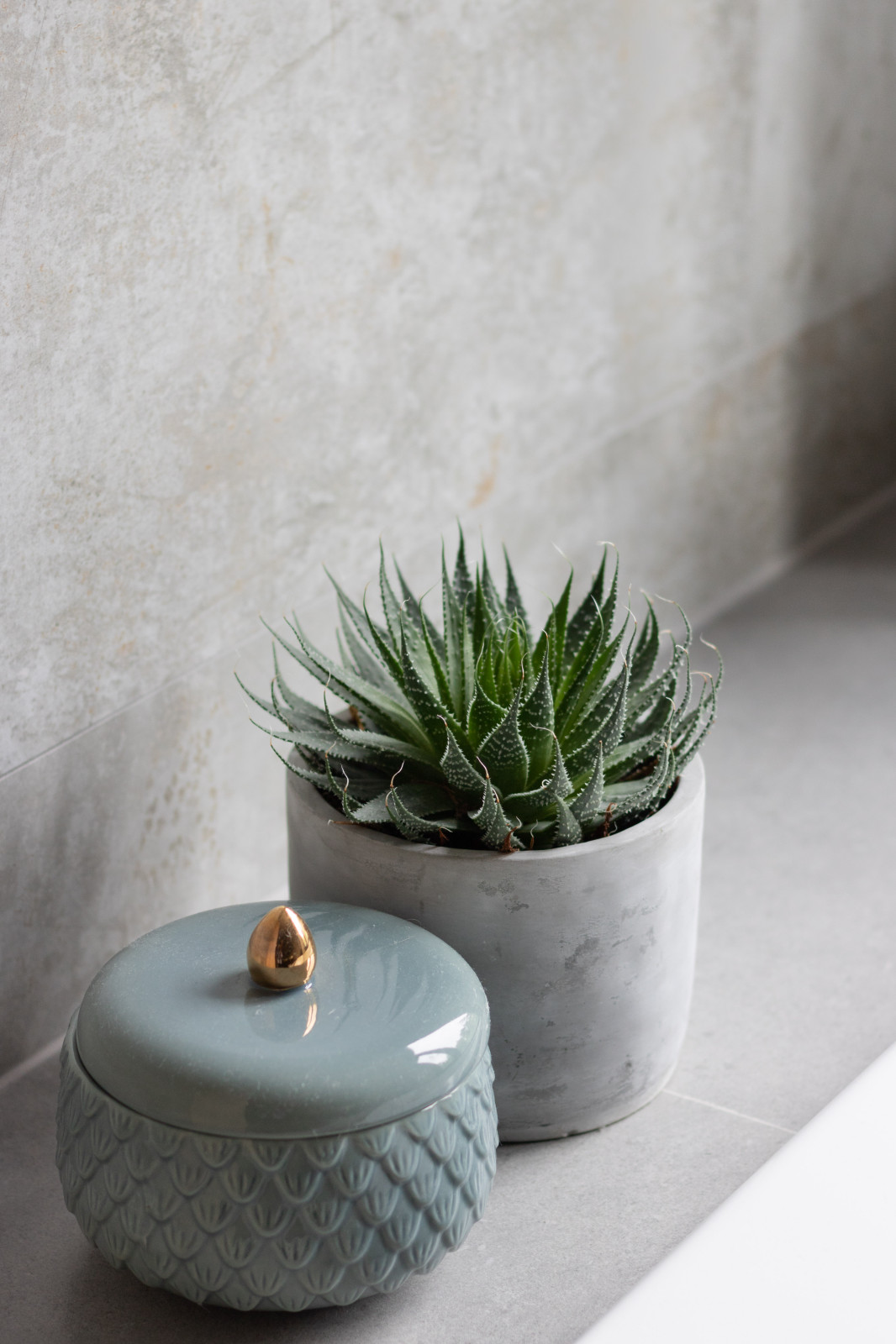 Дом на Новой Риге