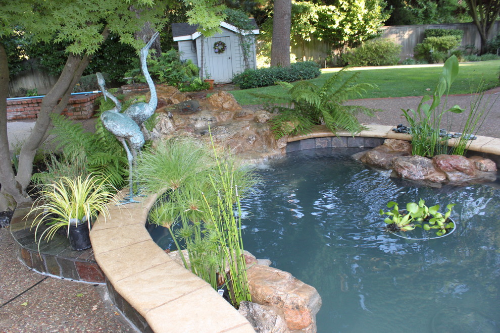 Design ideas for a large asian backyard garden in Sacramento with with pond.