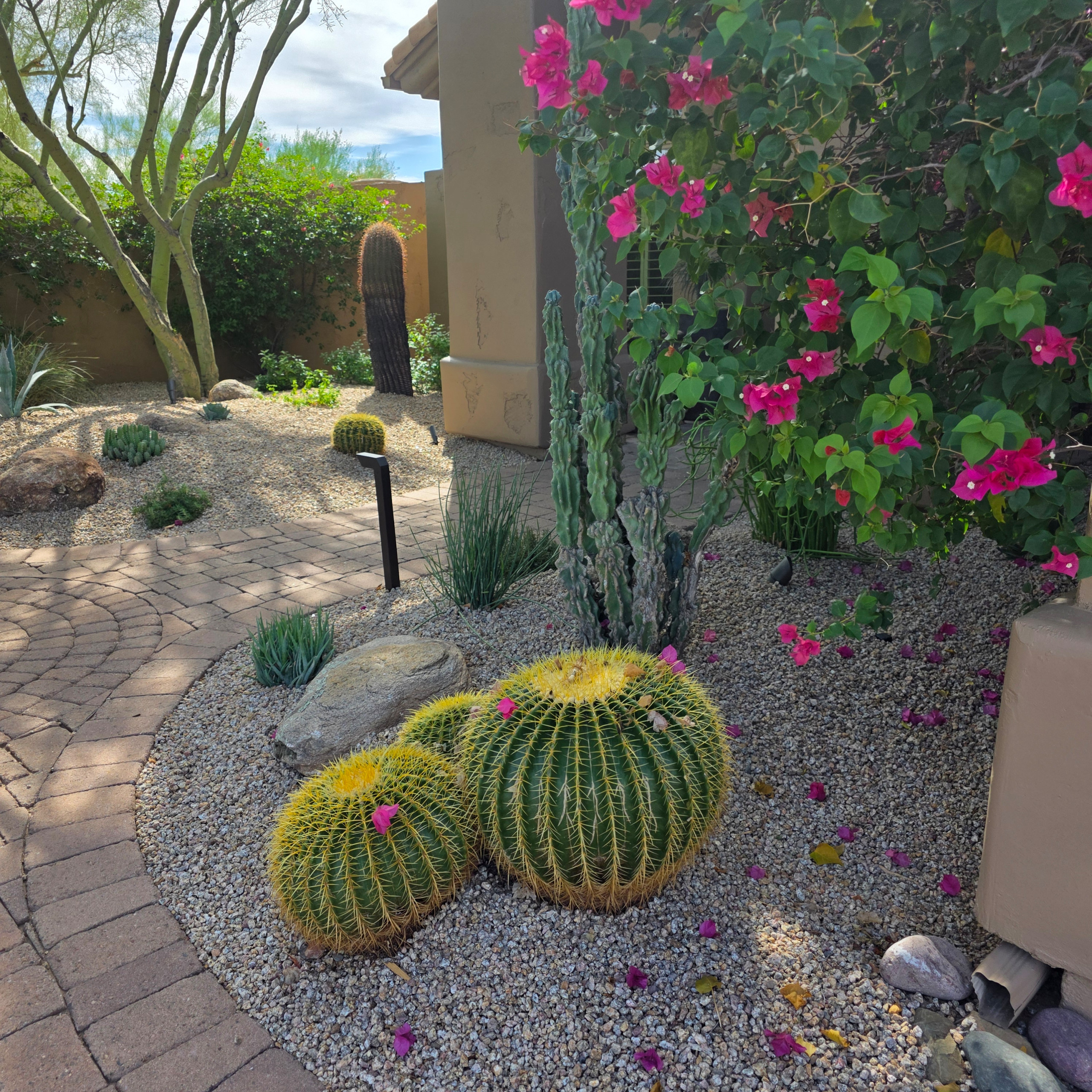 North Scottsdale - Canada Ridge