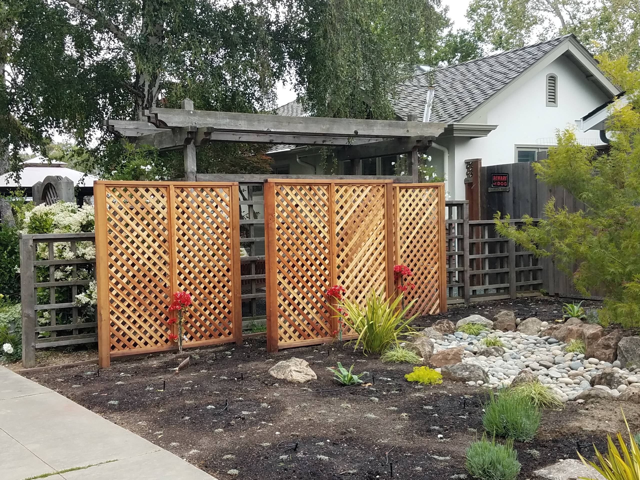 T-Arbors and Trellis