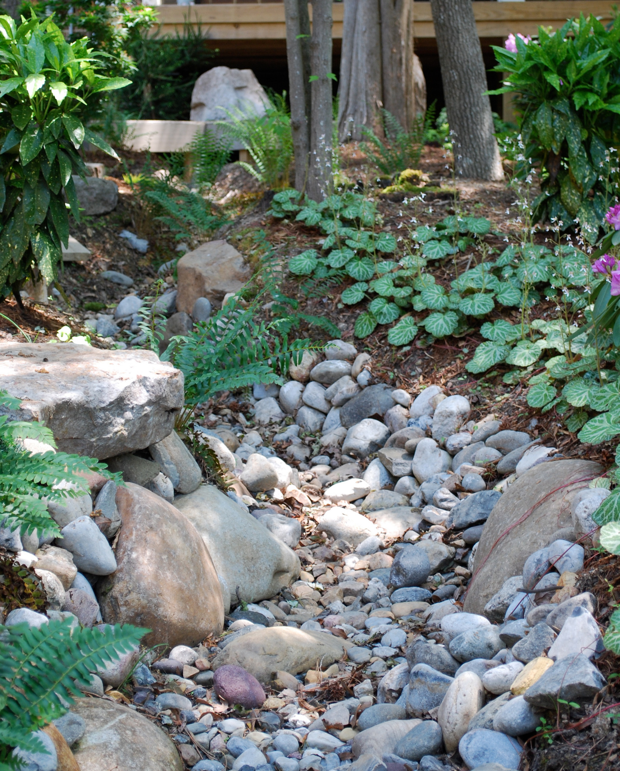 Asian-inspired woodland creek bed