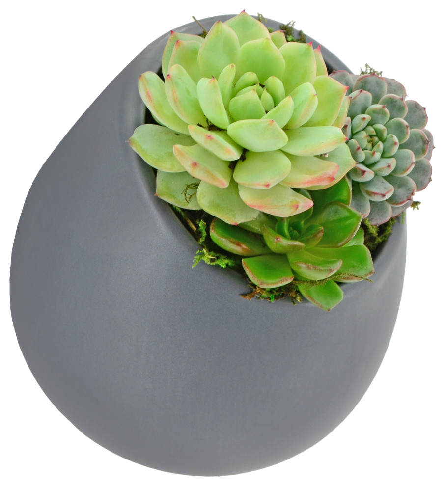Exta Lage - Ound - Plant Pots - The Home Depot
