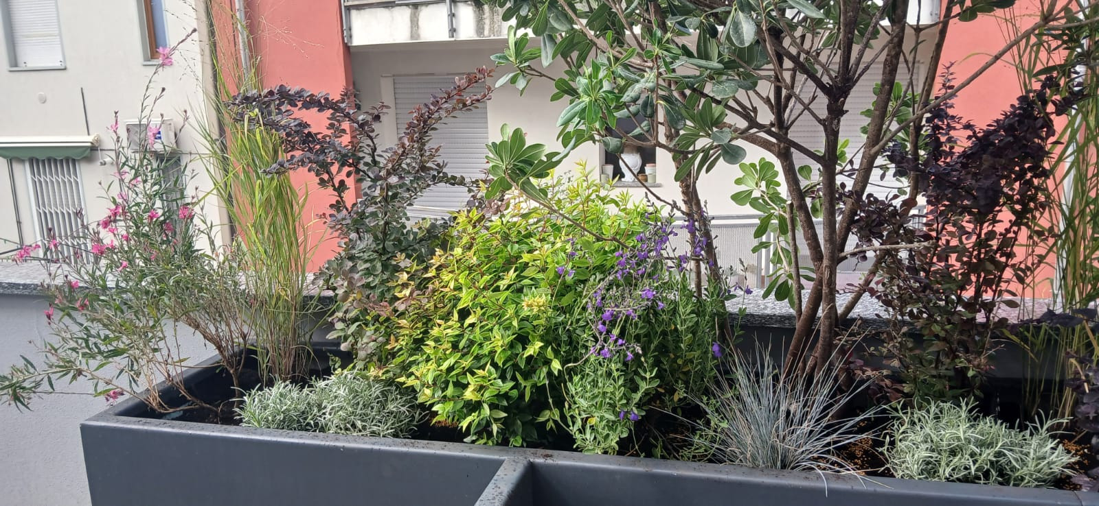 Realizzazione Terrazza dai sapori mediterranei