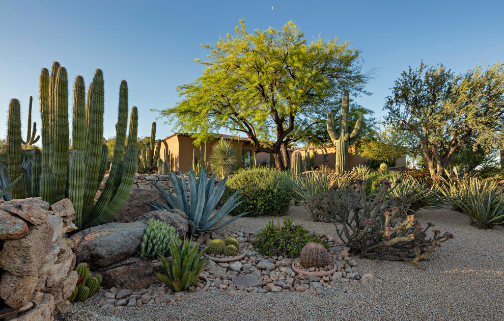 Photo of a large front yard xeriscape in Phoenix with gravel.