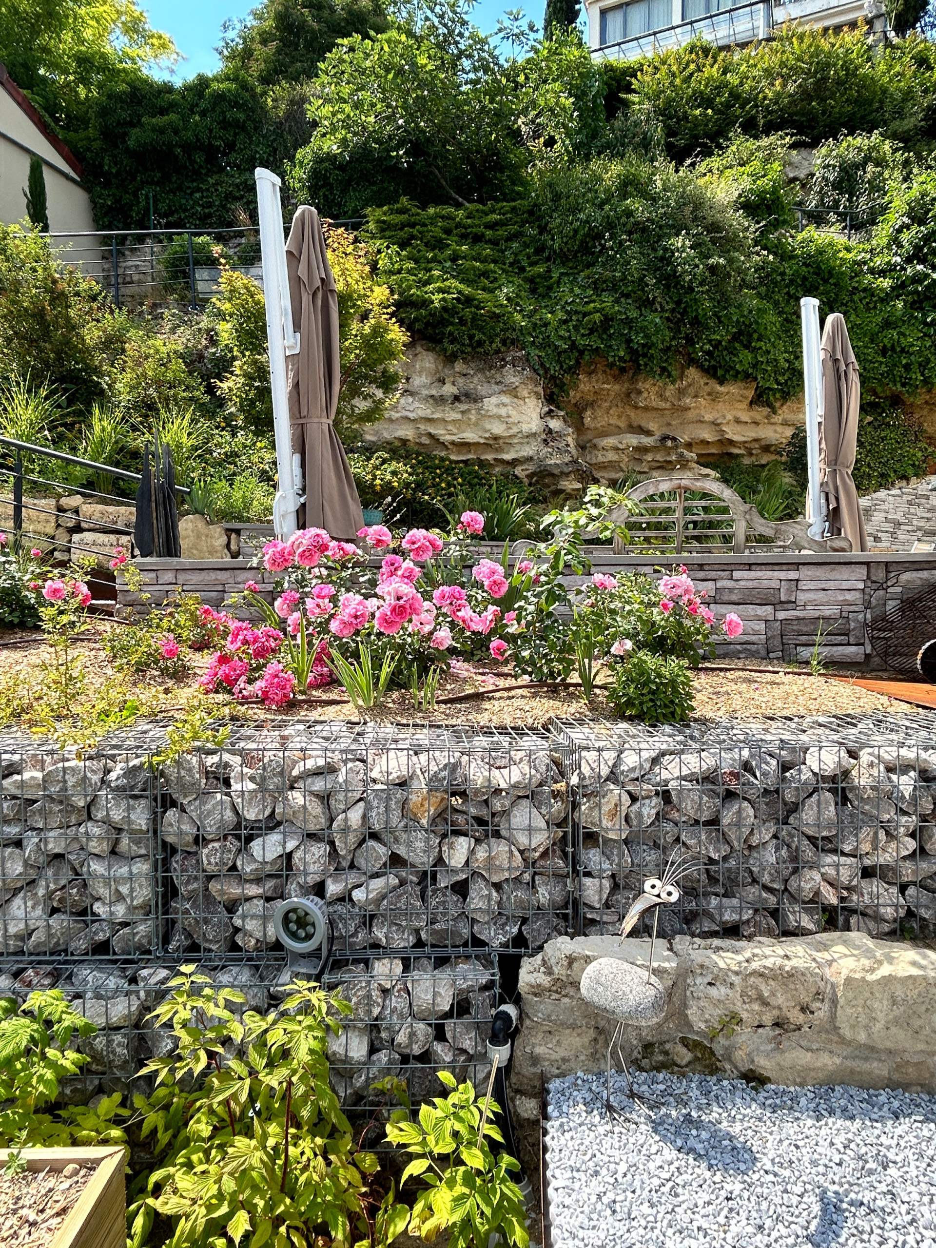 Jardin sur les falaises rocheuses