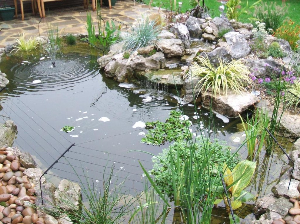 This is an example of a tropical garden in London.