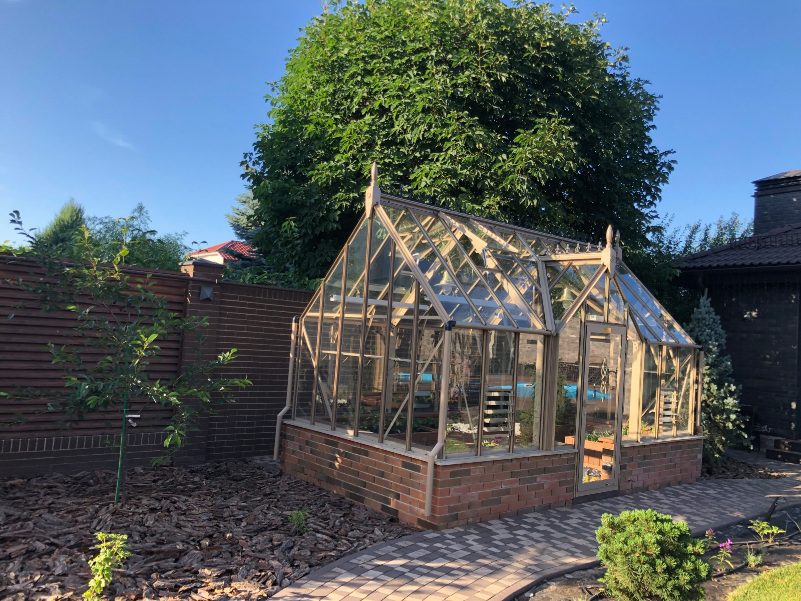 Проект «Новый свет»