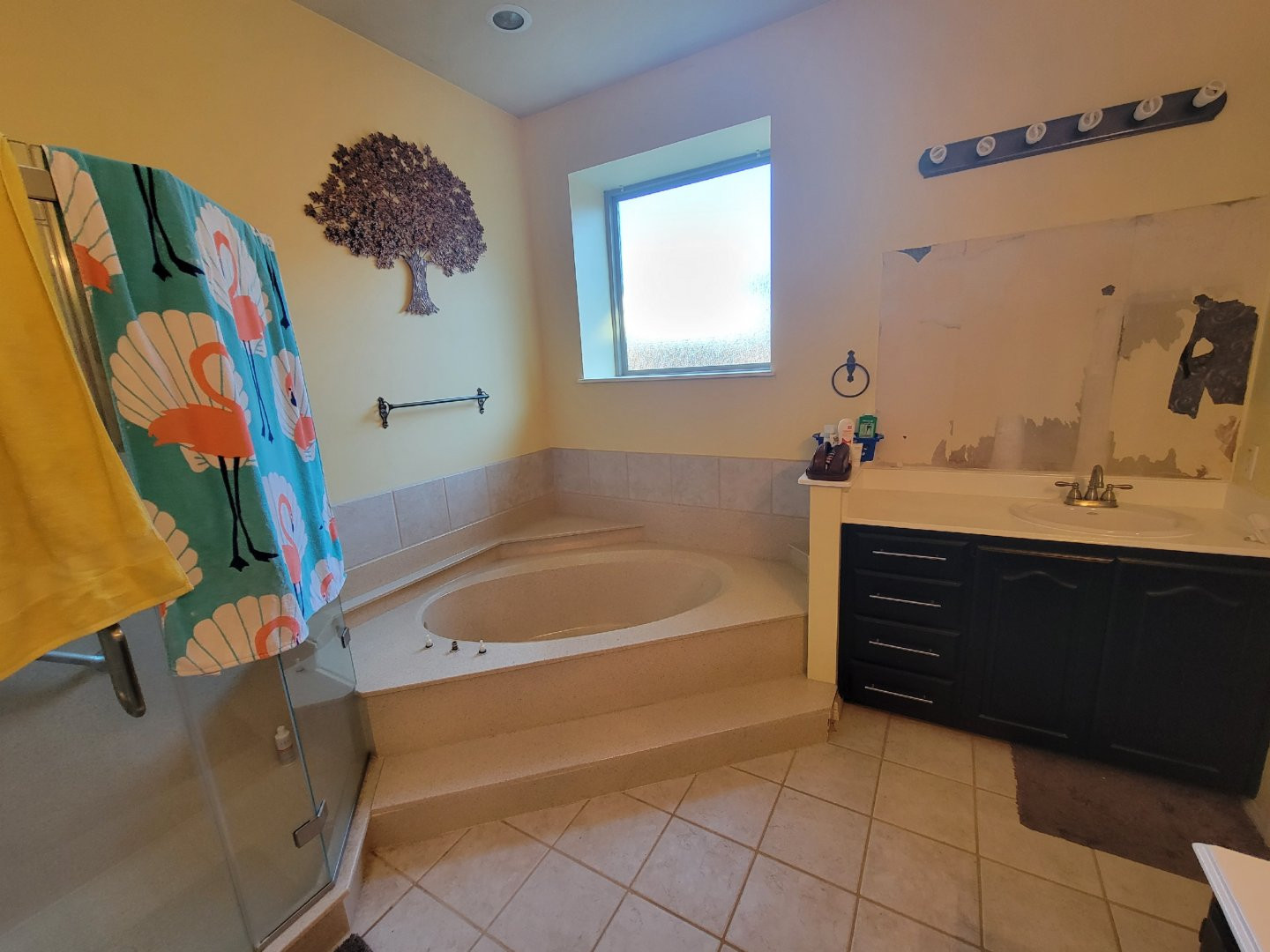 Carrollton TX - Master Bathroom Transformation