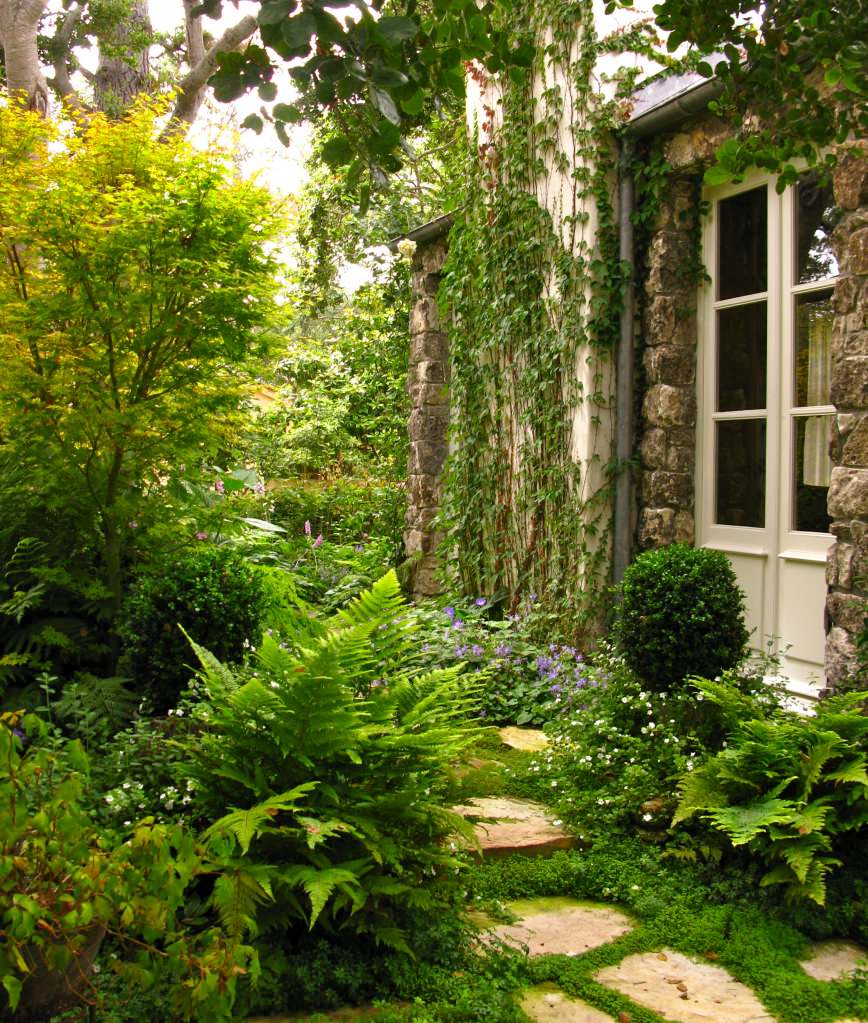 Weniger Unkraut, mehr Spa im Garten  dank Funkien und Farnen