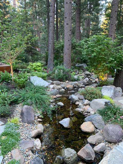 Tahoe Living