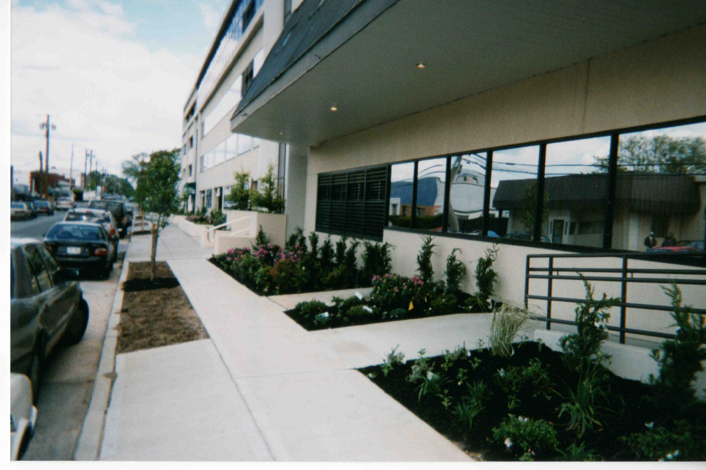 Commercial landscape planting