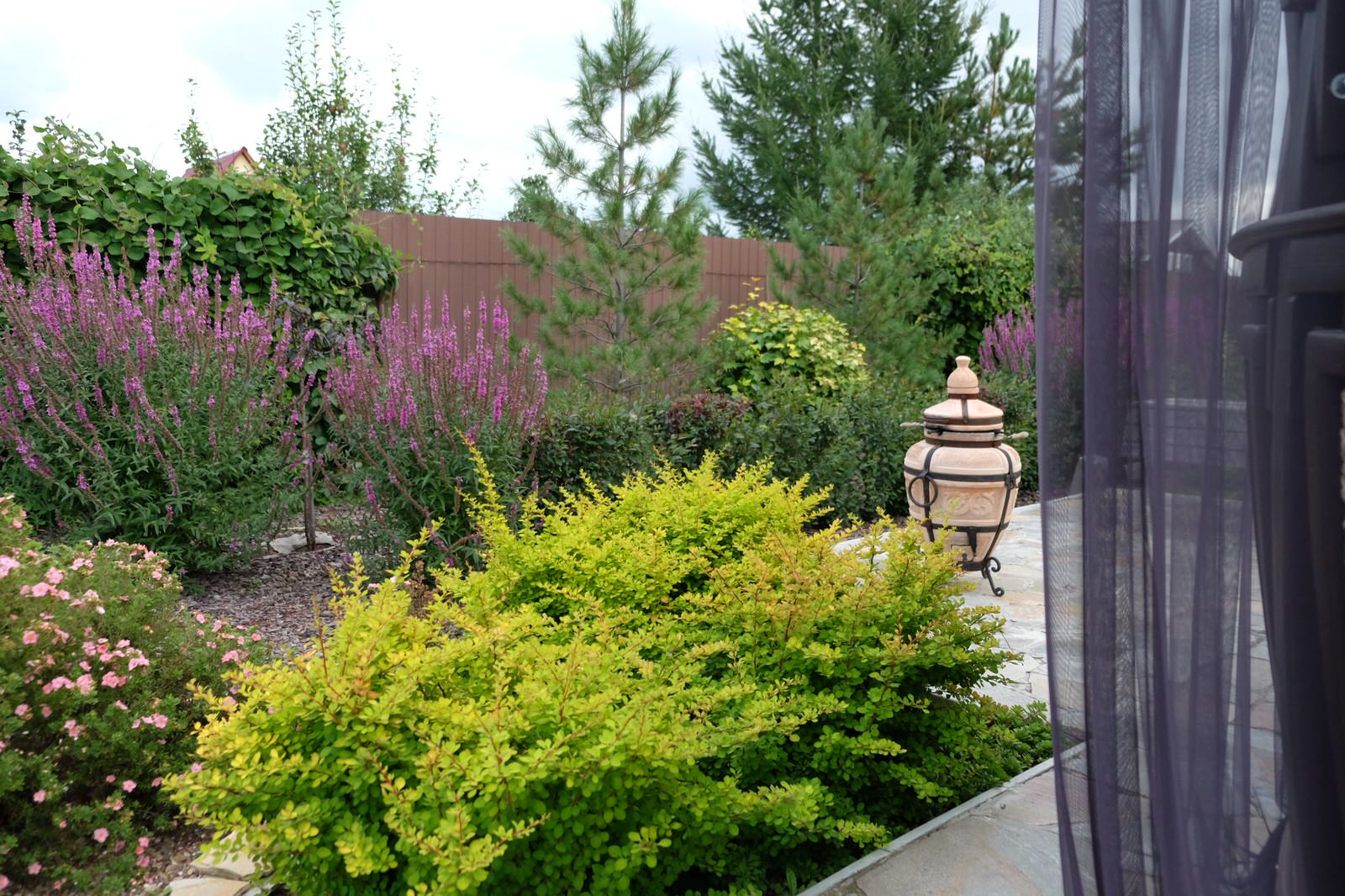 Дом под открытым небом