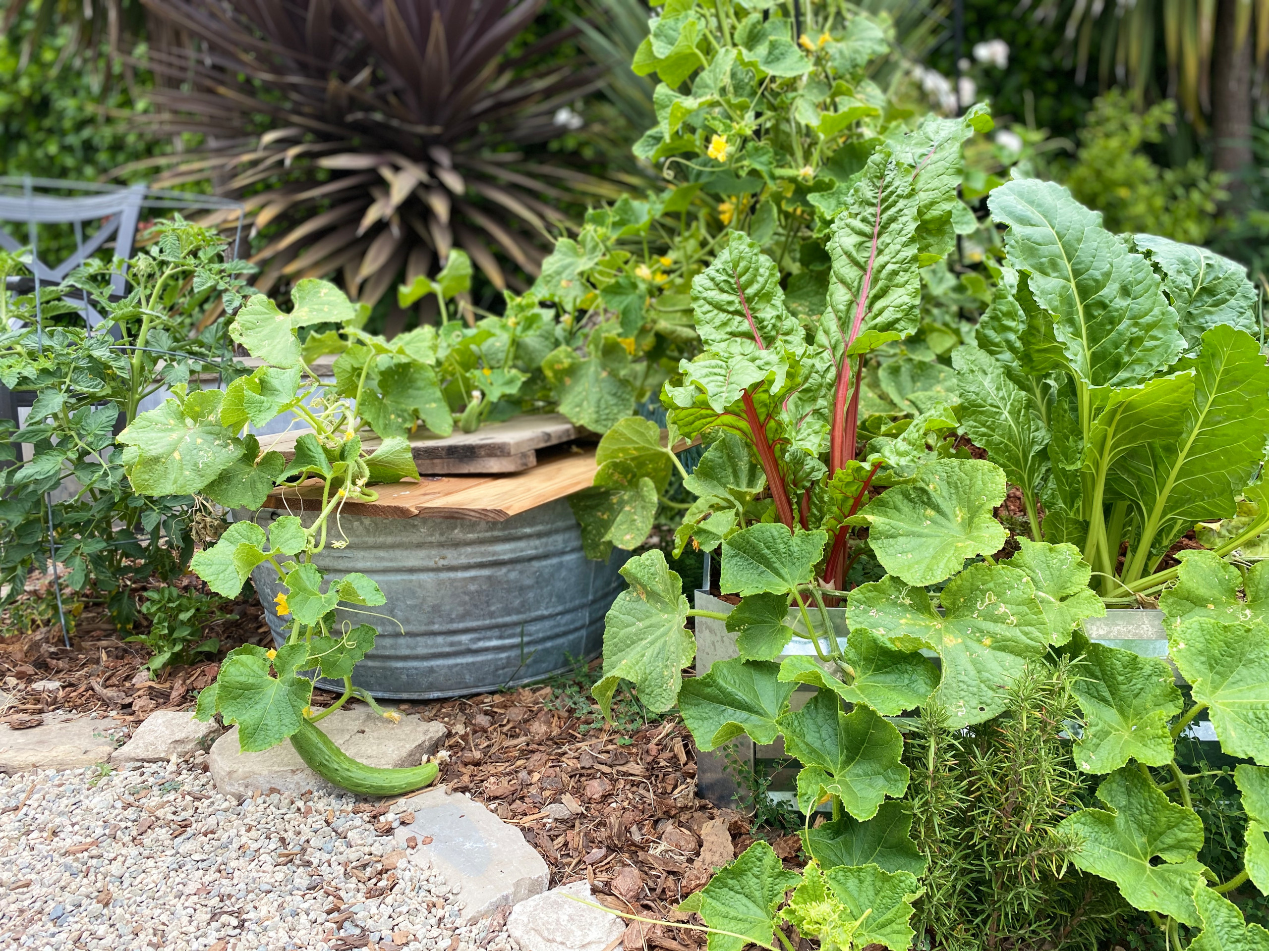 Rustic Kitchen Garden