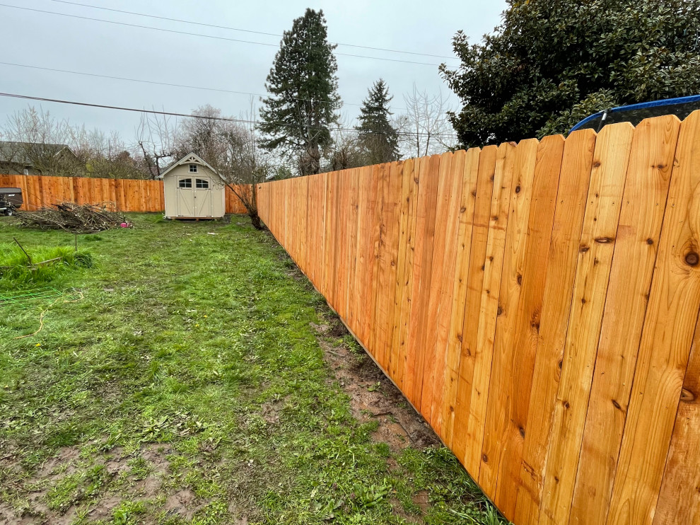 Cedar Fence